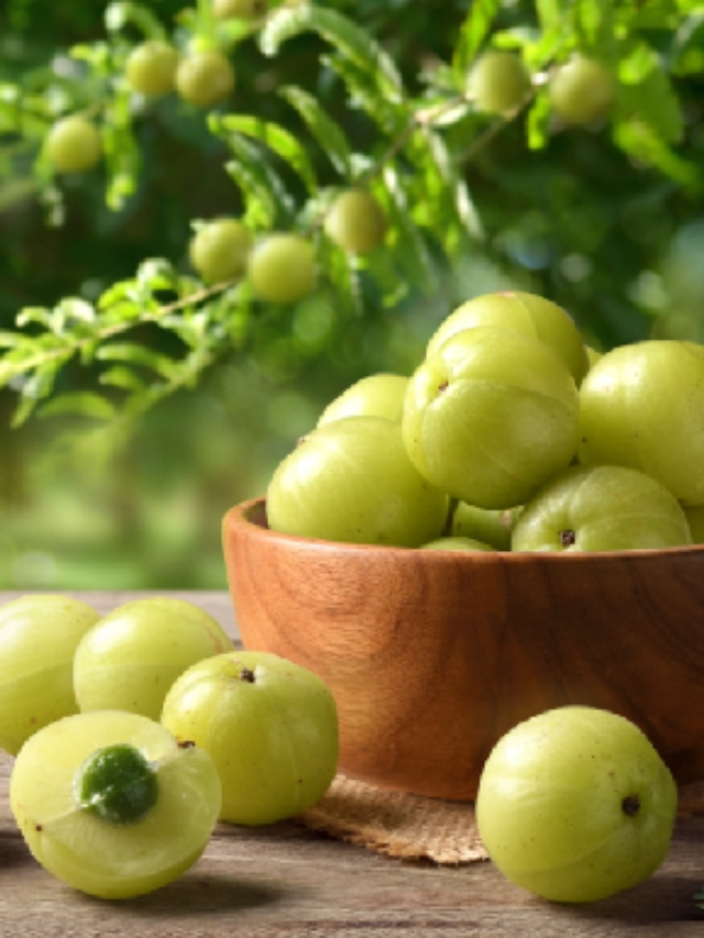 Amla (Indian Gooseberry) Health Benefits