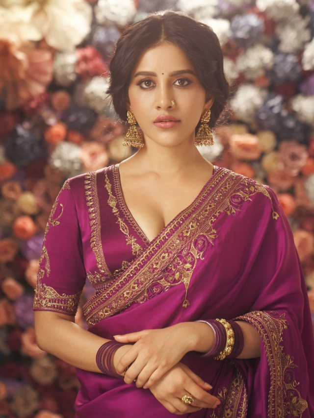 Nabha Natesh Saree Love