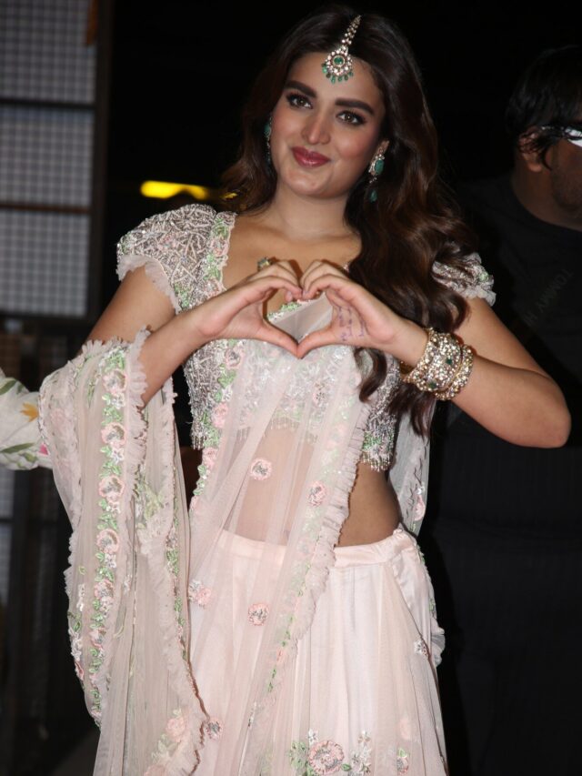 Nidhhi Agerwal In Hari Hara Veera Mallu Pre Release Event