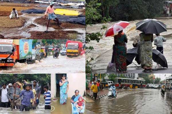 8 జిల్లాల్లో వాన సంక్షోభం