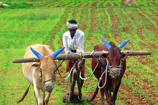 తెలంగాణం కోటి ఎకరాల మాగాణం..!