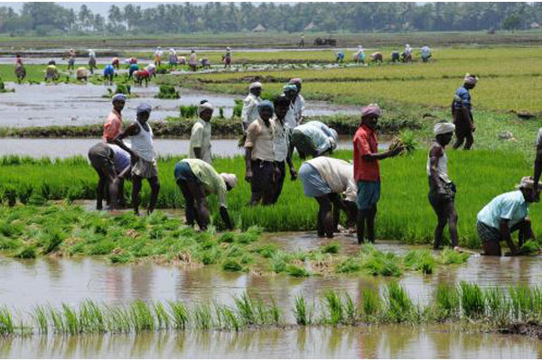 pattiseema-may-not-serve-westren-delta