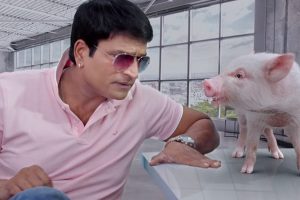హ‌మ్మ‌య్య‌… పందిని చూపించాడు
