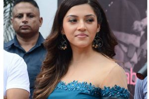 మైనస్సులు పట్టవా… మెహరీన్??