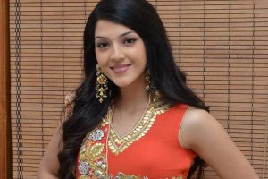అమెరికా సెక్స్ స్కాండల్… నేను ఏ ఇంటర్వ్యూ ఇవ్వలేదు: మెహరీన్
