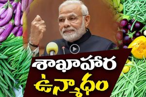 ప్రొ.నాగేశ్వర్:   శాకాహార ఉన్మాదం జడలు విప్పుతోందా..?