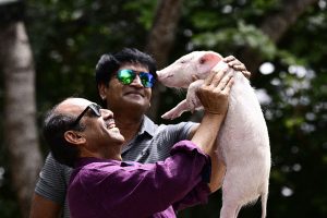 ఎన్టీఆర్ సినిమాతో.. పంది పిల్ల‌