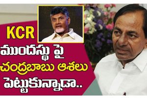 ప్రొ.నాగేశ్వర్: తెలంగాణ ముందస్తు ఎన్నికలు టీడీపీకి లాభమా..?