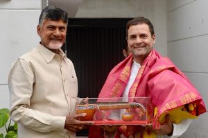 చంద్రబాబు ట్రాప్‌లో వైసీపీ పడిందా..? కోడి కత్తిని మర్చిపోయిందా..?