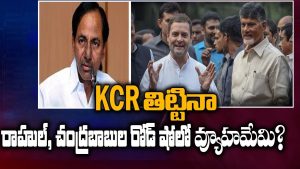 ప్రొ.నాగేశ్వర్ :  రాహుల్ – బాబు రోడ్‌షోలతో కేసీఆర్‌కు లాభమా..?