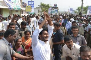 అయ్యారే..! రోడ్లపై ఆవులొచ్చినా చంద్రబాబు పనేనా..?
