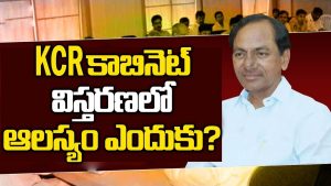 ప్రొ.నాగేశ్వర్ : కేసీఆర్ కేబినెట్‌ను ఎందుకు ఏర్పాటు చేయడం లేదు..?