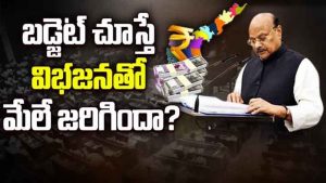 ప్రొ.నాగేశ్వర్ : విభజనతో ఆంధ్రప్రదేశ్‌కు మేలు జరిగిందా..?