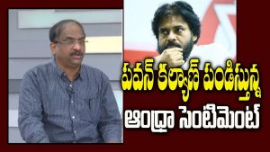 ప్రొ.నాగేశ్వర్ :  పవన్ పండిస్తున్న ఆంధ్రా సెంటిమెంట్‌ జనసేనకు లాభమేనా..?