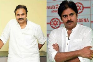 సుభాష్ :  అడ్డదారిలో టిక్కెట్టు..! శకునం చెప్పి కుడితిలో పడ్డావేంటి నాగబాబూ..!