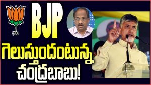 ప్రొ.నాగేశ్వర్ :  బీజేపీ గెలుస్తుందంటున్న చంద్రబాబు..!