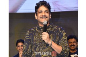 సోగ్గాడే చిన్ని నాయిన పార్ట్ 3 కూడానా?