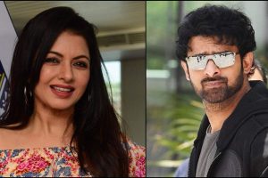 ప్ర‌భాస్ కోసం భాగ్య‌శ్రీ వ‌చ్చింది… వెళ్లింది