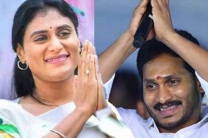 చైతన్య : తెలుగు రాష్ట్రాలకు పట్టిన వైరస్ “వైఎస్”