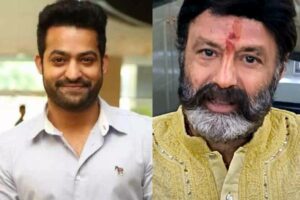 జూనియర్ ఎన్టీఆర్ కు టిడిపి పగ్గాలు ఇవ్వడం పై బాల కృష్ణ ఆసక్తికర వ్యాఖ్యలు