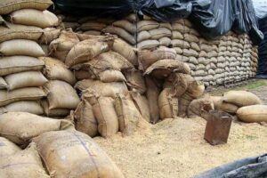 బియ్యం ఎగుమతులపై నిషేధం – అంత సంక్షోభం ఉందా ?