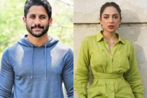 చైతూకి తోడు దొరికిన‌ట్టేనా?