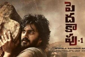 ముందుకొచ్చిన పెదకాపు
