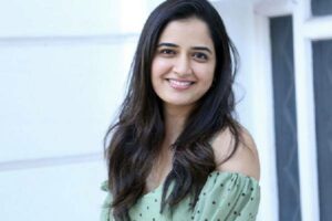 సీనియర్ హీరోలకు కొత్త ఆప్షన్
