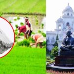 strategy behind releasing loan waiver in the Assembly