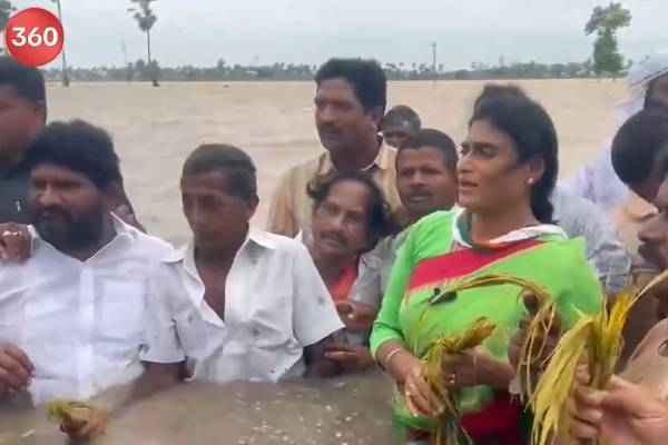 ys sharmila consoles thadepalle farmers