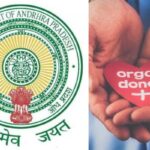 ap government rare honor for organ donors