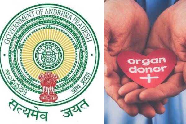 ap government rare honor for organ donors