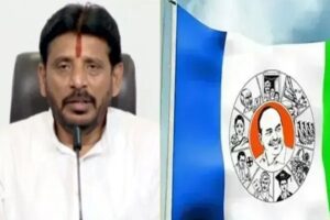 సమస్య దువ్వాడదా ? వైసీపీదా ?