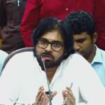 pawan kalyan indirect comments on pushpa movie