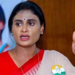 sharmila focus on future politics