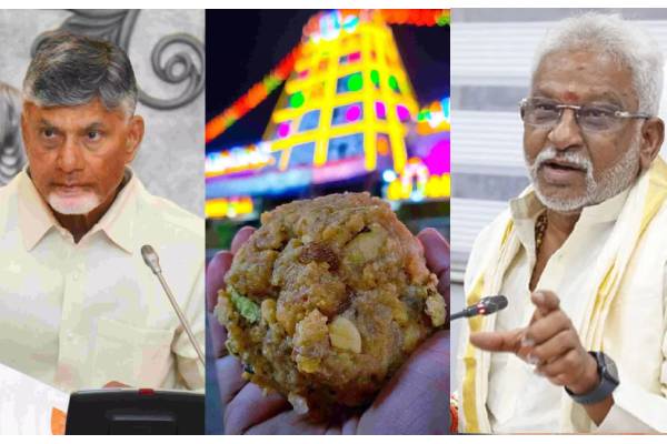 thirupathi laddu controversy