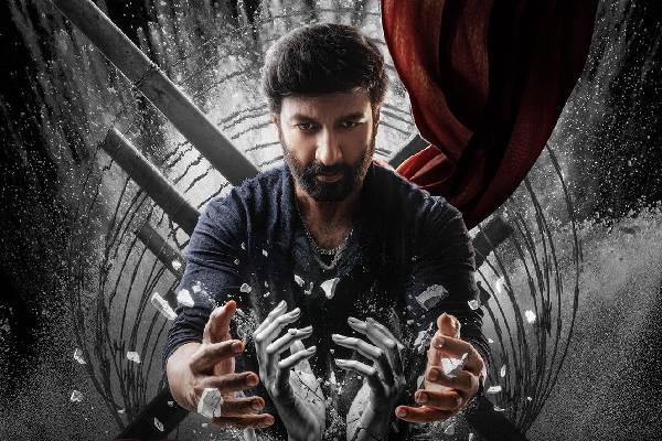 Viswam Movie Telugu Review