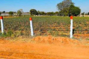 సరస్వతిలో అసైన్డ్ భూములు స్వాధీనం – ఇక అటవీ భూములు !