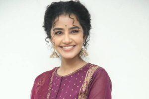 అనుపమ చెప్పిన పచ్చి నిజాలు