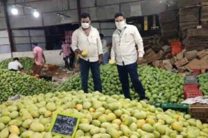 మెత్తగా ఉంటే అంతే – దండయాత్రలే చేస్తారు !