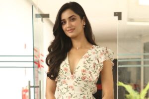 ఫాలోయింగ్ సరే… హిట్ ఎక్కడ?