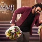 the raja saab telugu movie review