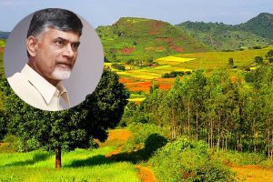 State transfers 1212 ha forest land for Bauxite mining