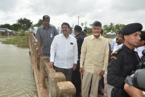 Naidu summons 30 IAS officers to flood-hit Nellore dist.