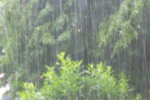 Cyclonic storm Roanu throws normal life out of gear