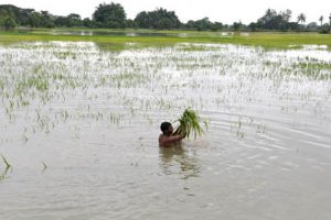 Rains Play Havoc Three District of AP