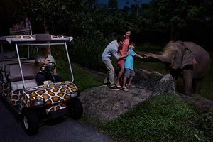Night Safaris coming up in Andhra Pradesh