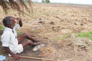 AP gets Rs 280 cr second instalment drought relief from Centre