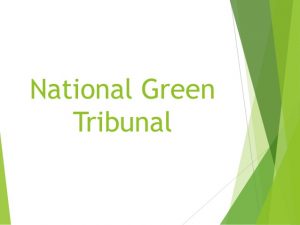 NGT flags Red – Sand Crisis Looms Large on AP