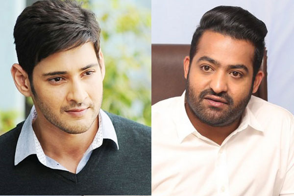 NTR is best dancer in Industry-Mahesh babu